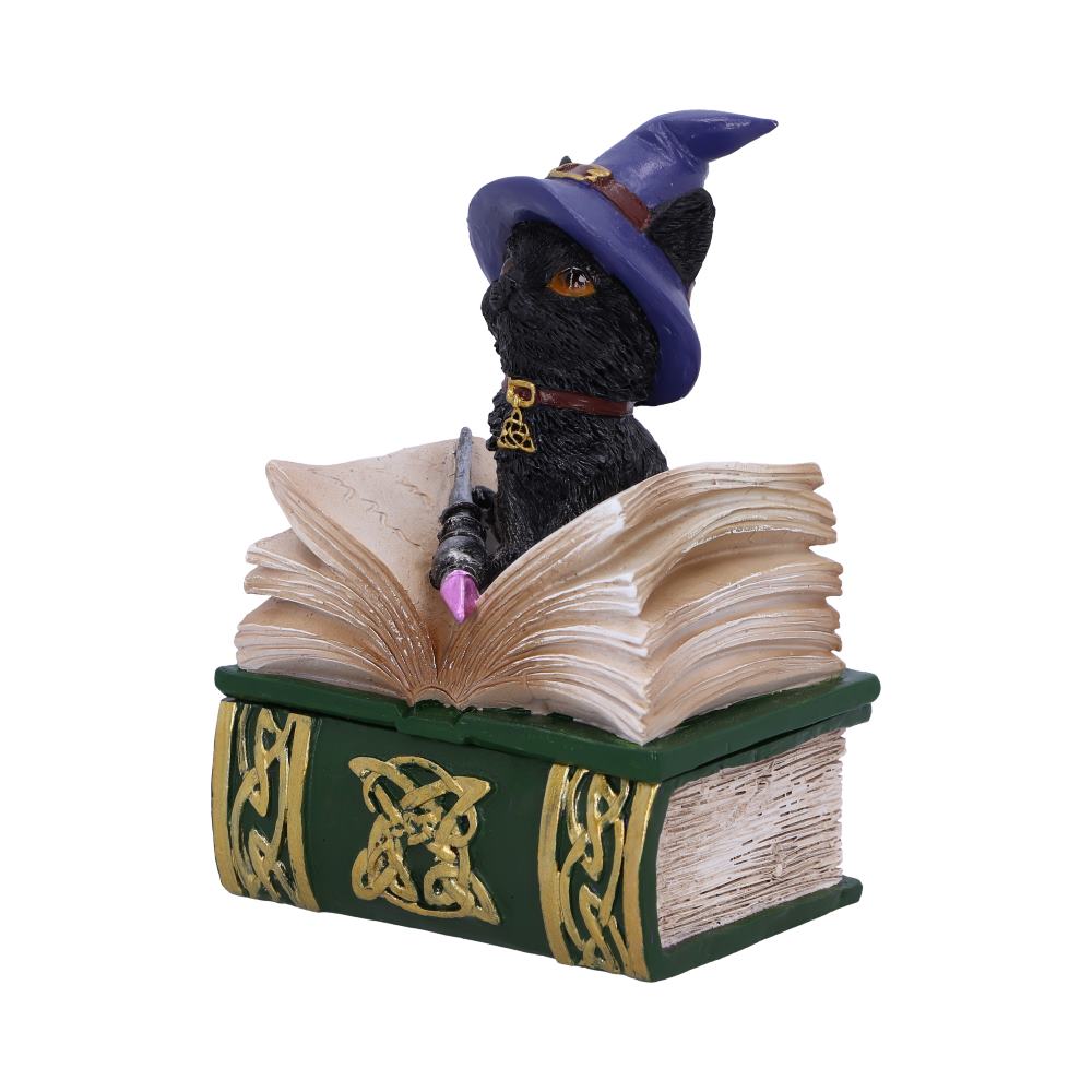 Nemesis Now Binx Small Witches Familiar Black Cat and Spellbook Figurine Box 11cm