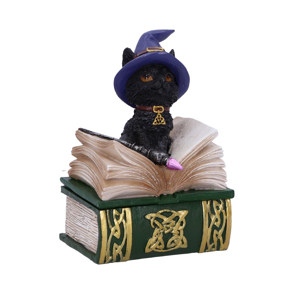 Nemesis Now Binx Small Witches Familiar Black Cat and Spellbook Figurine Box 11cm